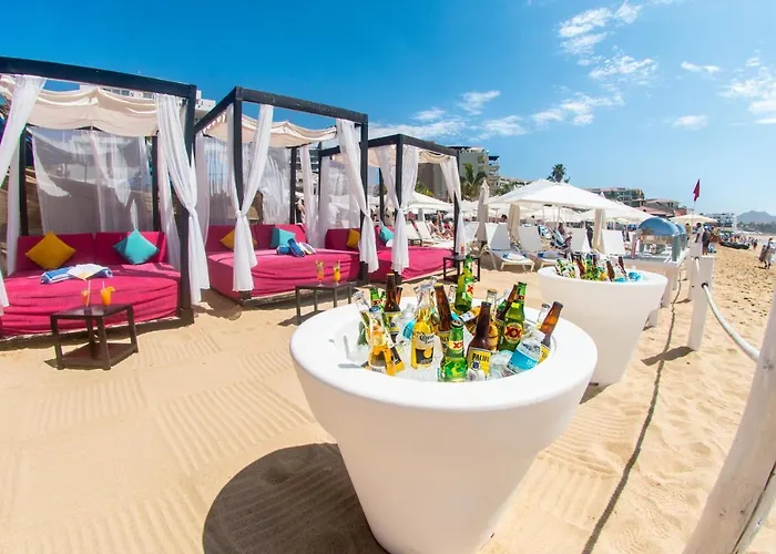 2 Bedroom Executive Suite. In The Heart Of Cabo! Guest house